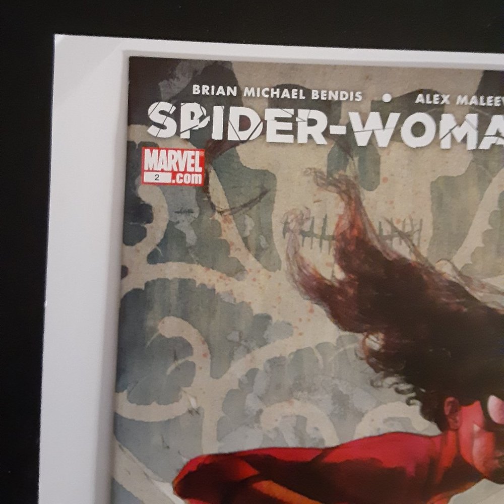 SPIDERWOMAN #2 (VOLUME 3 2009) WRITTEN BY BRIAN MICHARL BENDIS - Picture 2 of 10